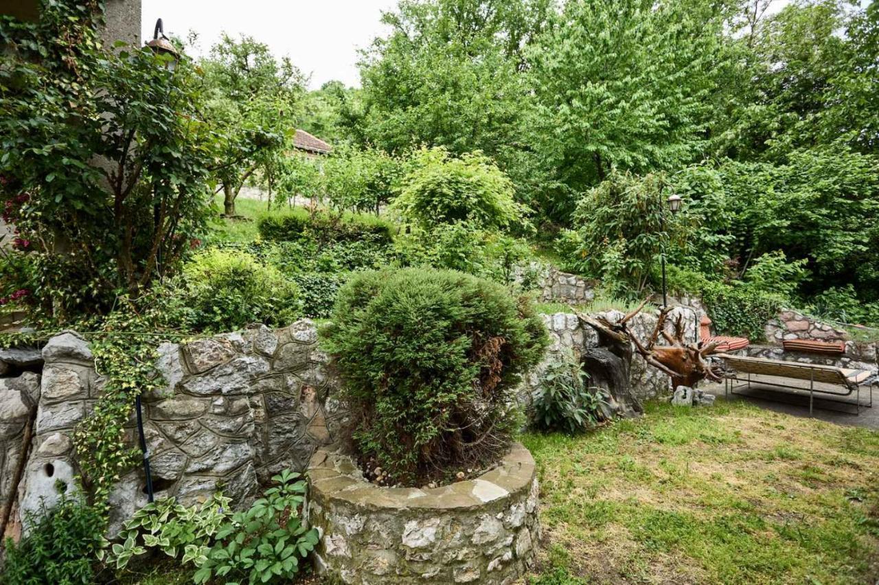 Apartmani Dr. Gasa Sokobanja Exterior foto
